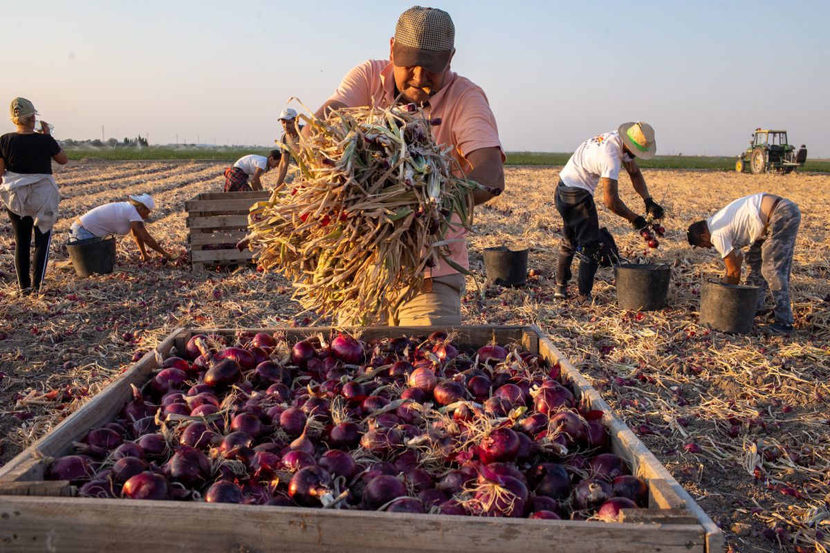 El 22% de los trabajadores teme represalias por afiliarse a un sindicato y un 32% acepta condiciones laborales ilegales | Economía