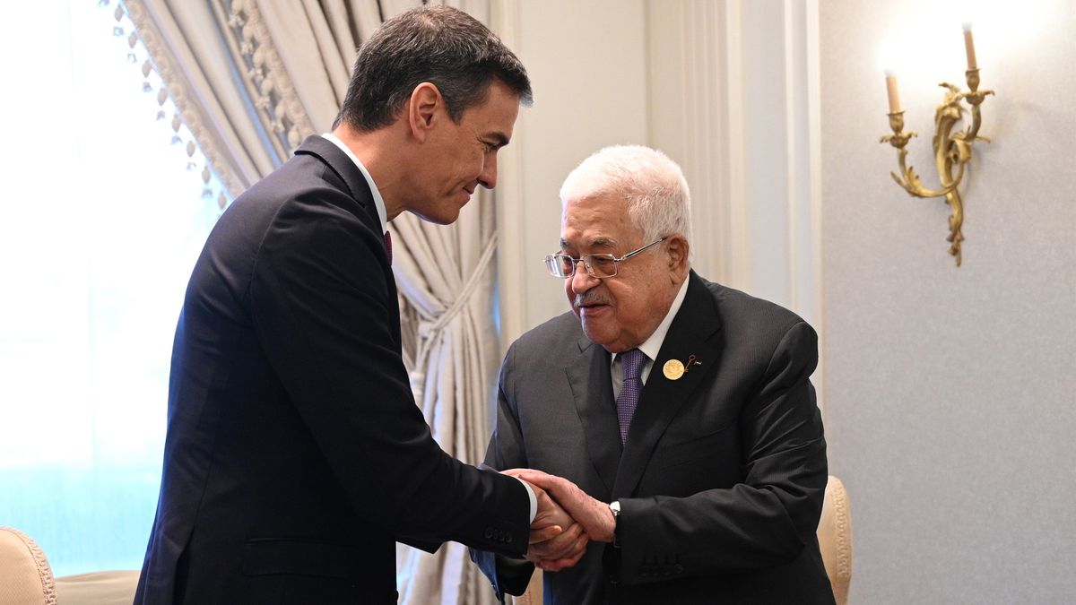 La falta de acuerdo en la cumbre de Egipto exhibe las diferencias entre Europa y el mundo árabe respecto a Israel | Internacional