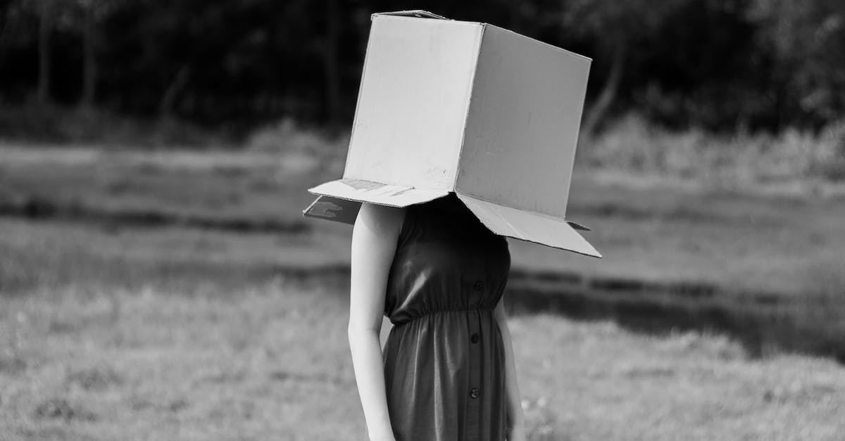 Hamtol Danpe de Suecia se consagra como ganador del prestigioso concurso global de batallas de cartón